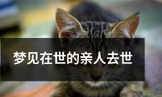 经历悲痛沉痛的梦境:梦见活着的至亲离世离去