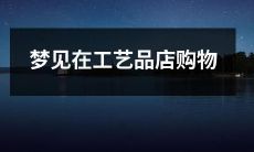 在一家充满艺术氛围的工艺品店里做梦，选择独具匠心的手工艺术品，享受视觉与心灵的如痴如醉