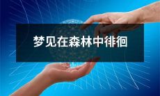 在茂密的林间中徘徊,探索一个神秘的梦境世界