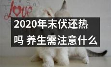 如何关注健康，应对2020年末的高温天气？：伏还热吗？关键提示和养生要点