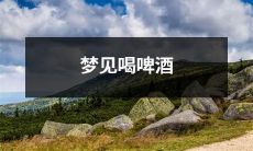 在梦中喝啤酒的起因、意义及可能存在的影响：解读你潜意识中的饮酒情结