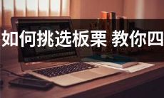 如何用四招技巧挑选优质板栗：专家教你如何识别新鲜、甜美、柔软的板栗