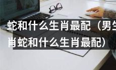 男性的蛇生肖与哪种生肖最匹配?探究最佳配对与相容性