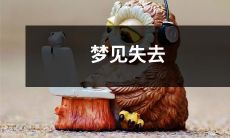 所有的东西：一个人的失落、沮丧和未来——一篇对梦中失去的深度探究