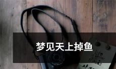 做梦梦见天空中突然掉落鱼儿，感到十分惊异和兴奋，心生疑惑和好奇：这可能是一种预示，启示着某些特殊的含义和智慧吗？