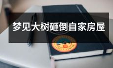 在梦中目睹壮观景象：一棵巨大的树倒塌砸中了自己的房屋