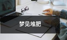 如何正确填充堆肥桶，以获得更高效的肥料生产？——解读梦境中的堆肥制作技巧