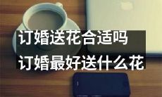 在订婚礼仪中，赠送花卉是否合适？若是，何种花卉最适合订婚礼仪？