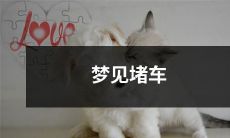 在梦中经历堵车的情景—深度探索潜意识中的现实挑战与情感压力