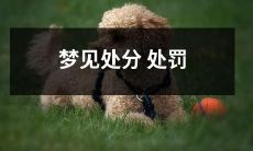 睡梦中的想象，想象出一个正群众特别担心的事，那就是处分处罚，虽然是虚幻的场景，但是所带来的强烈反应却是真实的