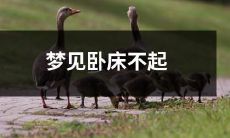 有关健康问题的梦境经历：梦中身处床榻，难以起身行动的情形描述