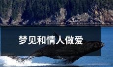 梦中与爱人缠绵的情境:梦觉中和爱侣相互拥抱亲吻,燃烧的欲望涌动,身体相互纠缠,情欲难挡