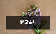 梦中告别：一个离别的情景在梦境中缓缓展开