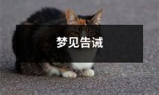 梦中遇到告诫，令人醒思教训：探究梦境中的预示和警示