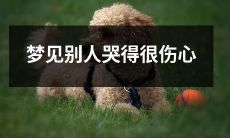 在梦中目睹他人深情哭泣引发的心理波动和象征意义探讨