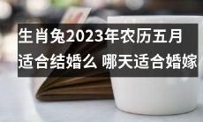 2023年农历五月，作为生肖兔的你们，是否适合选择这个月份结婚呢？又有哪些日期特别适合婚嫁呢？