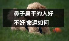 鼻子扁平的人是否注定命运堪忧？探究鼻型与人生路径的关联