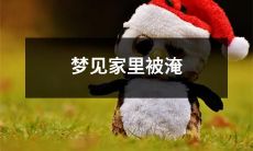 据梦想家庭被洪水淹没的梦，可能是代表着不安全感或者情感上的波动