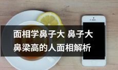 探秘面相学：探究鼻子大小与鼻梁高度对面相的解析