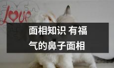 拥有面相知识，了解鼻子面相的人更具福气与智慧