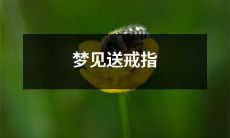 在梦中看到自己向某人送出一枚华丽的戒指：一个神秘、令人着迷且充满情感的梦境