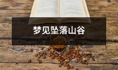 夜晚降临，梦境中的我突然坠落至崇山峻岭间的深谷之中——一场令人惊恐不已的梦境体验