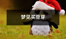 在梦中遇见购买嫩豆芽的情景：探索梦境中的食品象征与吉兆含义