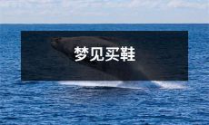 昨夜迷梦中，梦见自己兴致勃勃地购买了一双全新的精致鞋履！