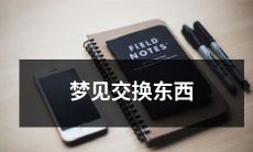 在睡梦中经历的神奇遭遇：我梦见和陌生人进行交换物品的奇妙冒险！