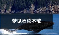 梦境中目睹亵渎不敬行为，引发精神上的冲击和深刻反思