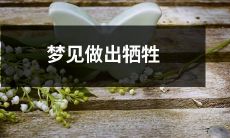 在梦中经历自我牺牲的梦境：我做出了舍身为民的勇敢决定