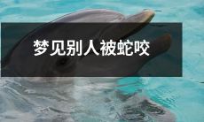 经历一场深刻而令人害怕的梦境:亲眼目睹他人被毒蛇咬伤!