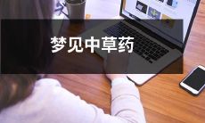 缠绕而来的神秘草药：我在梦中的沉迷体验