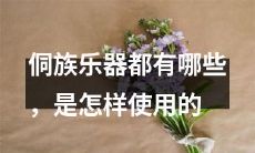 探究侗族文化：详细介绍侗族传统乐器及其使用方法