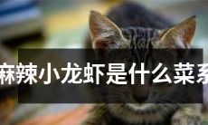 麻辣小龙虾究竟属于哪种中国菜系呢？