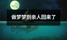 睡梦中重逢亲人：一个充满感动的梦境体验！