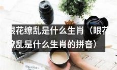 哪个生肖的名字拼音是“yǎn huā liáo luàn”（眼花缭乱）？