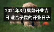 2021年3月适合属鼠的开业日子，具有吉利之兆和良好的商业机遇