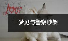 在梦中发生的情景:我与一位警察争吵并产生冲突的真实感受