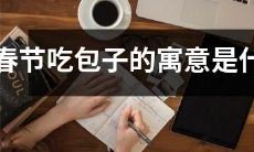 春节食用包子的文化与象征意义：探析中华文化传统中的包子之道