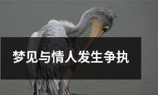 今夜梦中，我与心爱之人发生不愉快的争执，情感瓦解：一个梦境中的情感矛盾和分裂体验