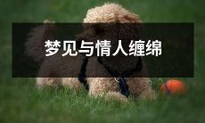 的甜蜜时光:深度解析梦境中的恋爱情节与情感内涵