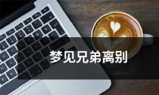 在梦中道别亲密的兄弟：梦境中的离别之痛