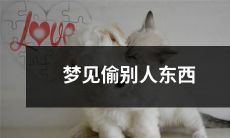 小梦境:我在梦中偷走别人的物品而感到愧疚,究竟是潜意识的映射还是反映了人性的复杂性?