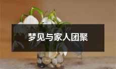 的美好夜晚:远离寂寞孤独的美梦中,享受与亲人团聚的温馨幸福