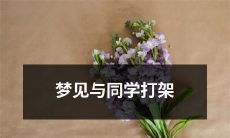 今晚梦见自己与同学发生激烈冲突，甚至打起了扣头血的惊心动魄经历！