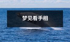 在梦中突然醒来的奇妙体验：梦见自己去看手相预测未来的情景描述！