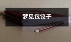 在梦中制作美味饺子的幻觉：一个人的包饺子心得体验