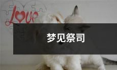 在夜晚的梦境中遇见神秘祭司，陷入神秘而奇妙的世界