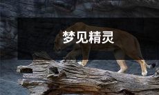 我在梦中遇见了一个神秘而令人兴奋的精灵，身临其境的奇幻之旅让我难以忘怀！